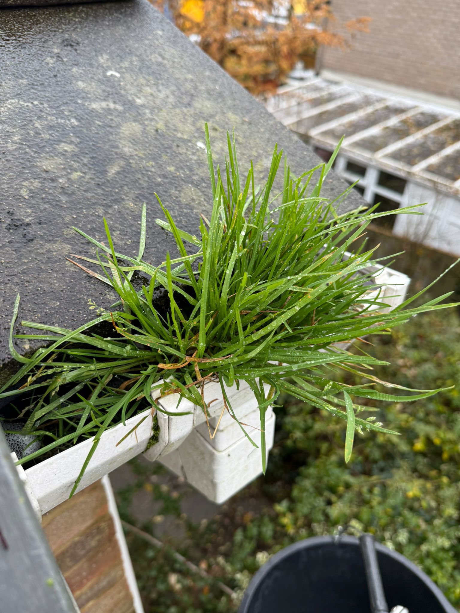 Blocked gutter downpipe  - Lemsford Gutter Clearance is the solution!